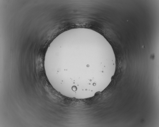X0000116261106200912291450