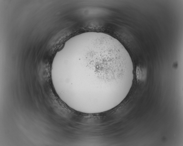 X0000116261107200912291450