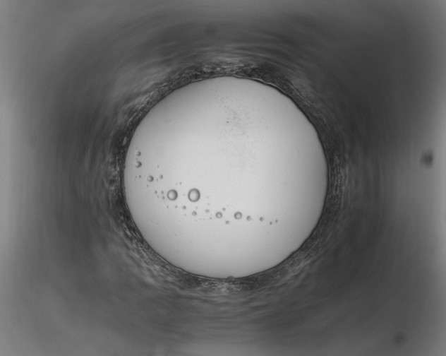 X0000116261109200912291450