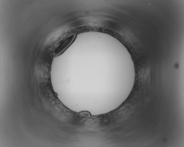 X0000116261110200912291450