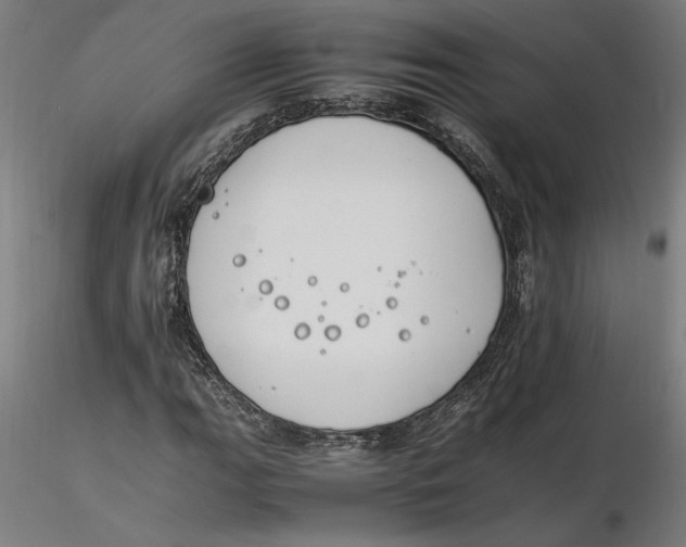 X0000116261111200912291450