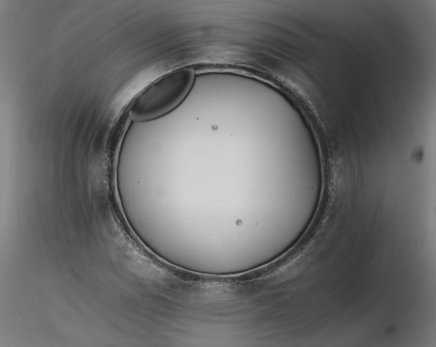 X0000116261114200912291450