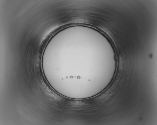 X0000116261115200912291450