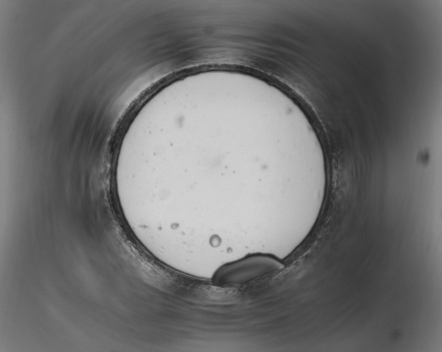 X0000116261119200912291450