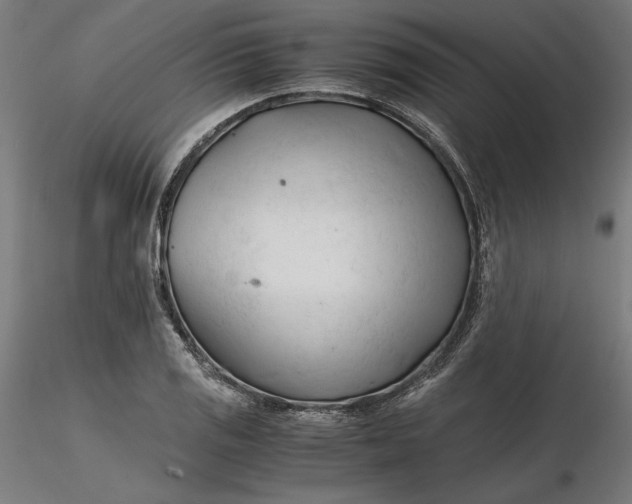 X0000116261125200912291450