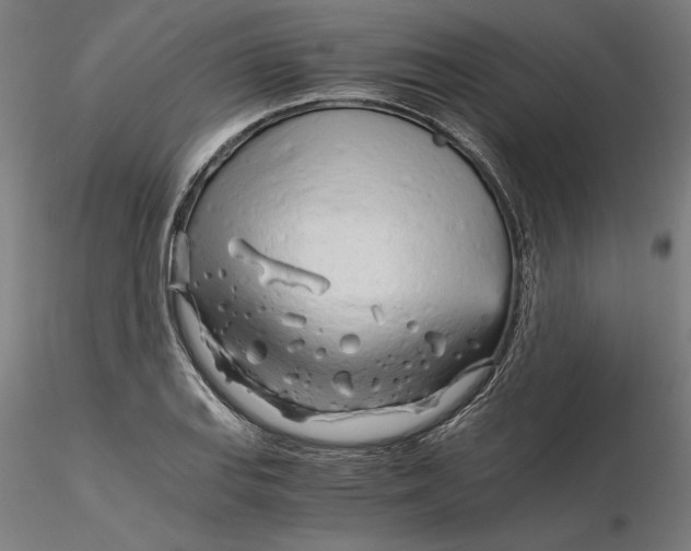 X0000116261127200912291451