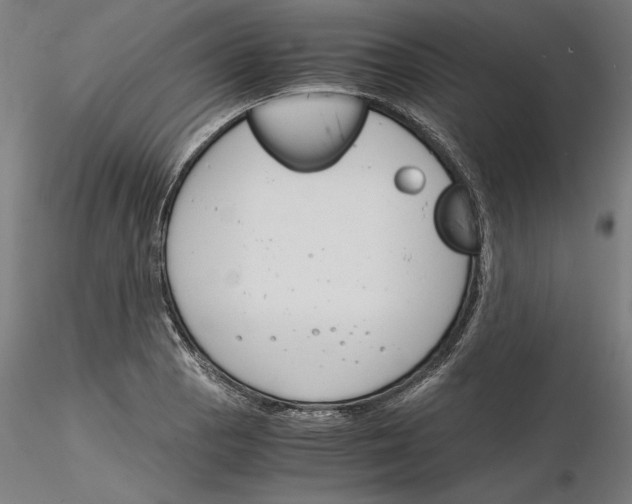 X0000116261129200912291451