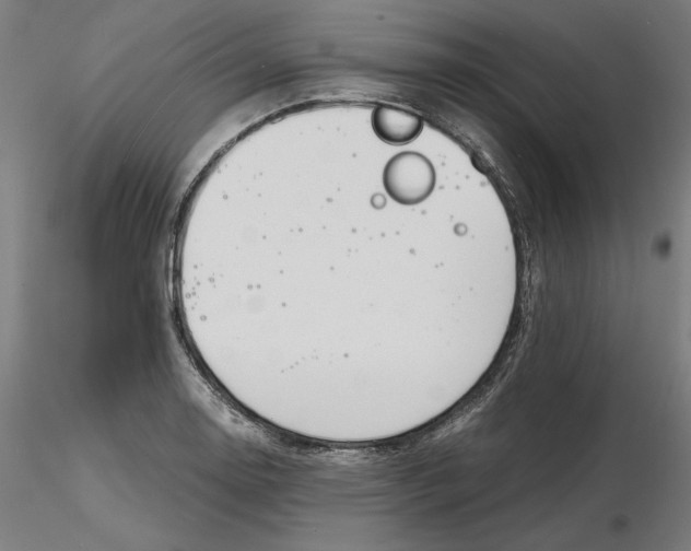 X0000116261130200912291451