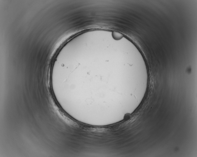 X0000116261131200912291451