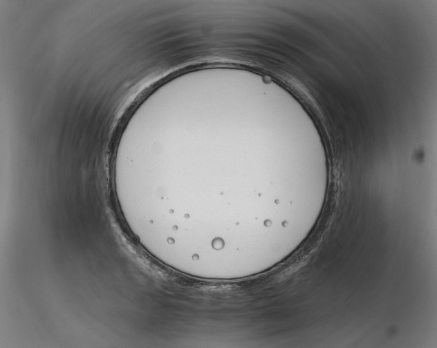 X0000116261133200912291451