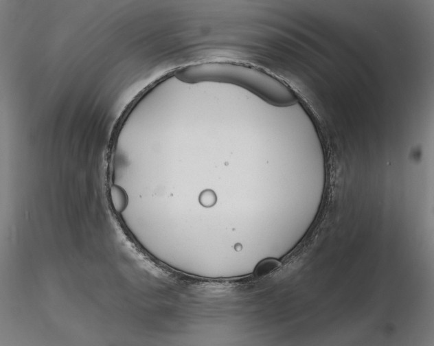 X0000116261134200912291451