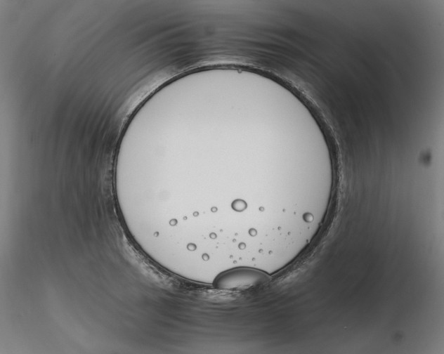 X0000116261137200912291451