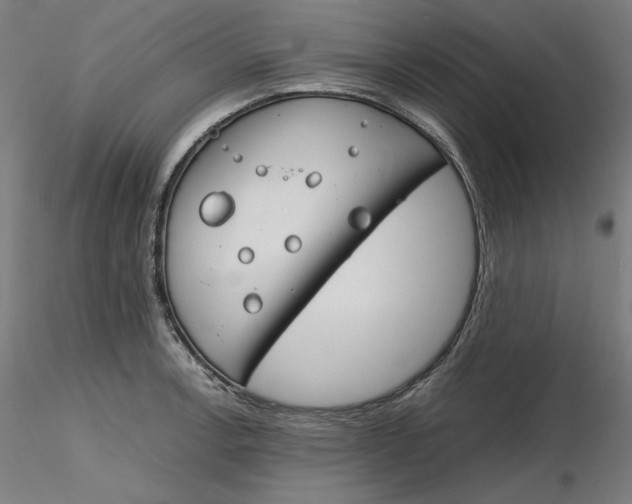 X0000116261138200912291451