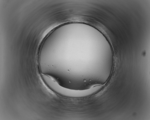 X0000116261141200912291451