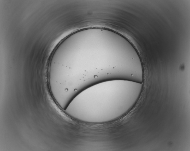 X0000116261142200912291451
