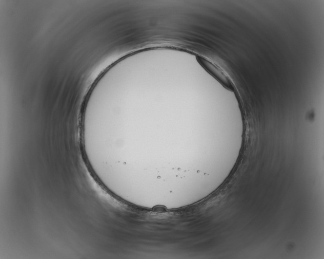 X0000116261143200912291451