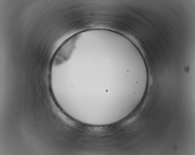 X0000116261149200912291451