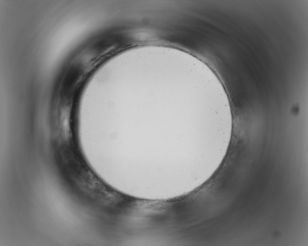 X0000116261150200912291451