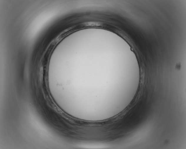 X0000116261151200912291451