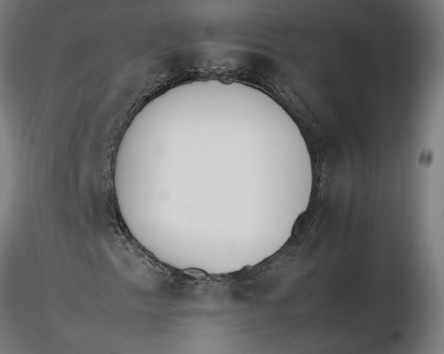 X0000116261153200912291450