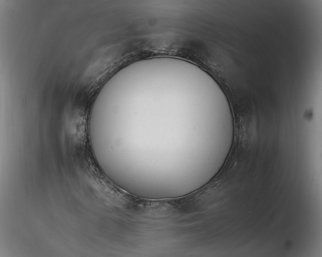 X0000116261154200912291450