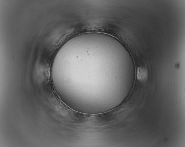 X0000116261155200912291450