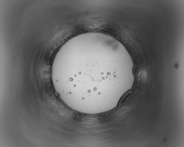 X0000116261156200912291450