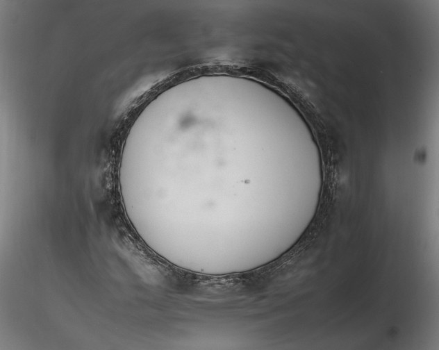 X0000116261159200912291450