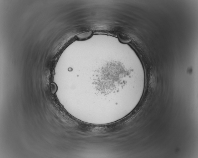 X0000116261161200912291450