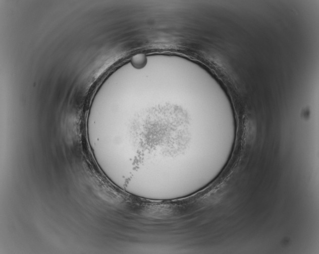 X0000116261162200912291450