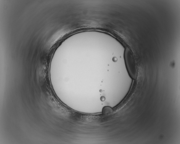 X0000116261163200912291450