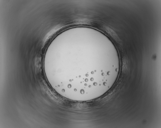 X0000116261164200912291450