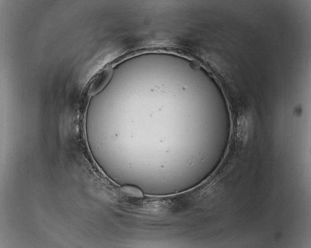 X0000116261165200912291450