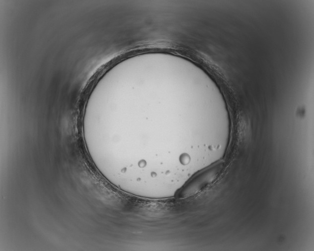 X0000116261166200912291450
