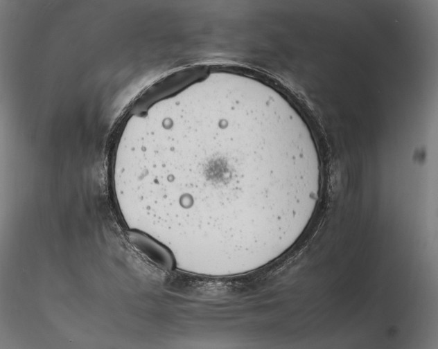 X0000116261167200912291450