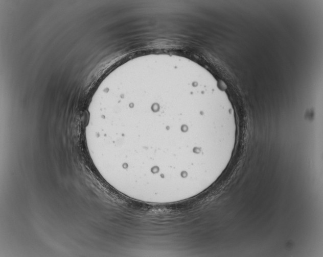 X0000116261169200912291450