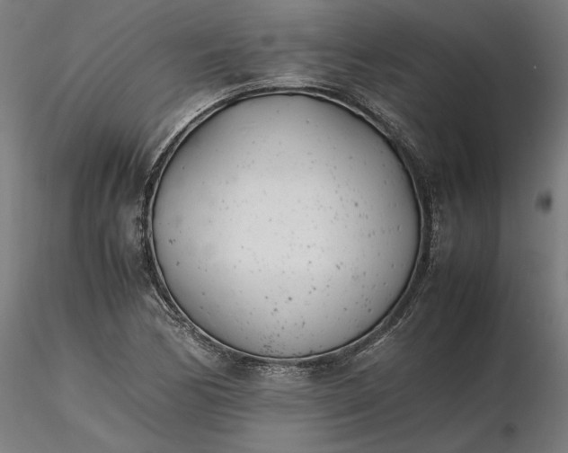 X0000116261170200912291450