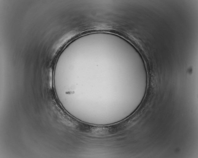 X0000116261171200912291450