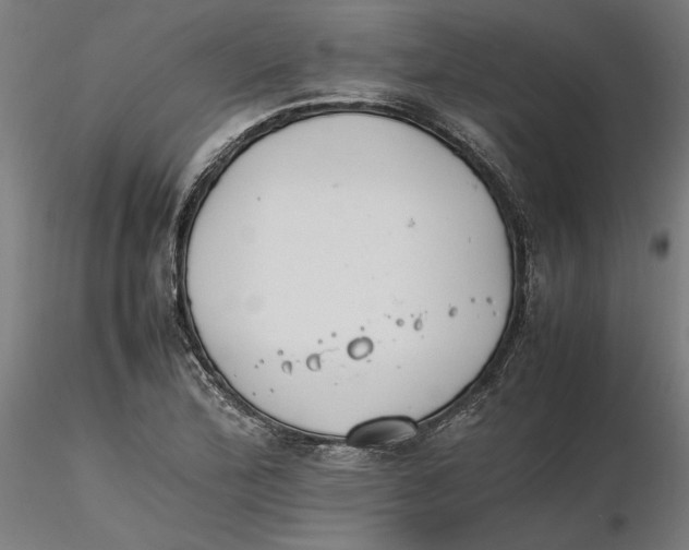 X0000116261172200912291450