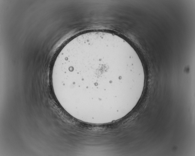 X0000116261173200912291450