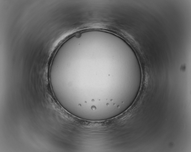 X0000116261174200912291450