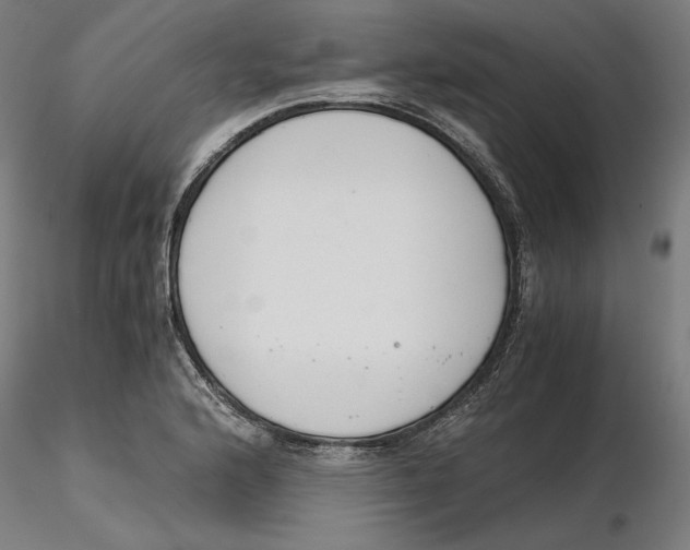 X0000116261176200912291450