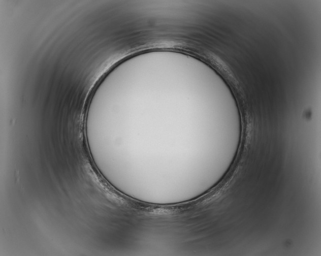 X0000116261178200912291450