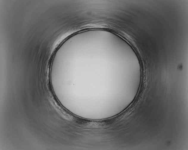 X0000116261179200912291450