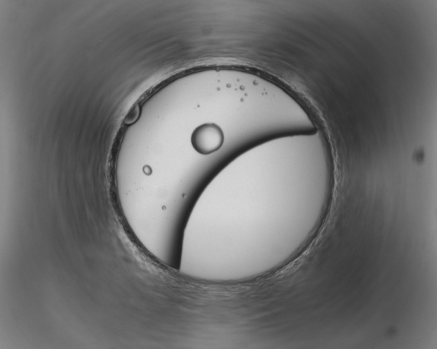 X0000116261181200912291450