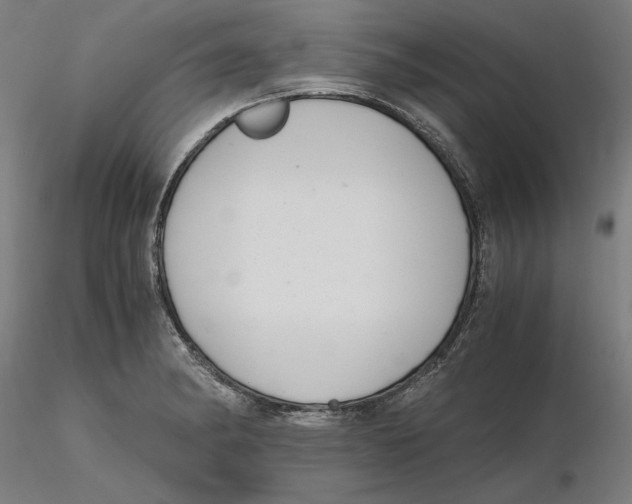 X0000116261182200912291450