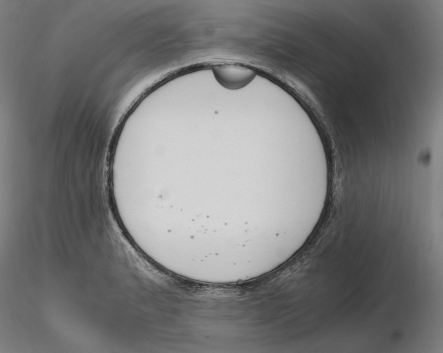 X0000116261183200912291450