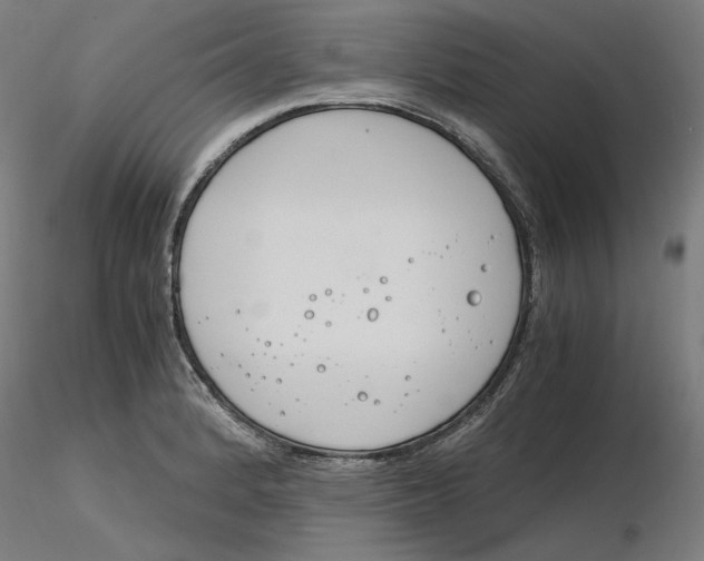 X0000116261184200912291450