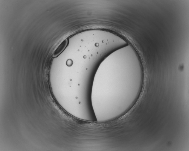 X0000116261185200912291450