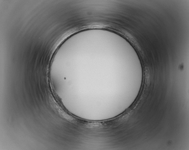 X0000116261186200912291450